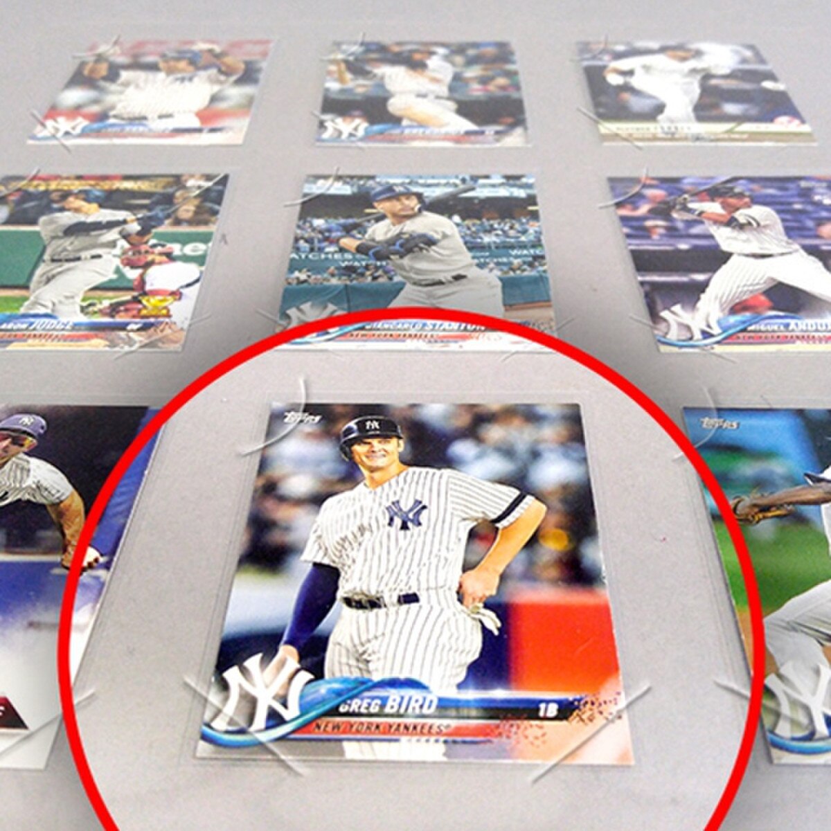 Trading Card Baseball SPORTS BOARD